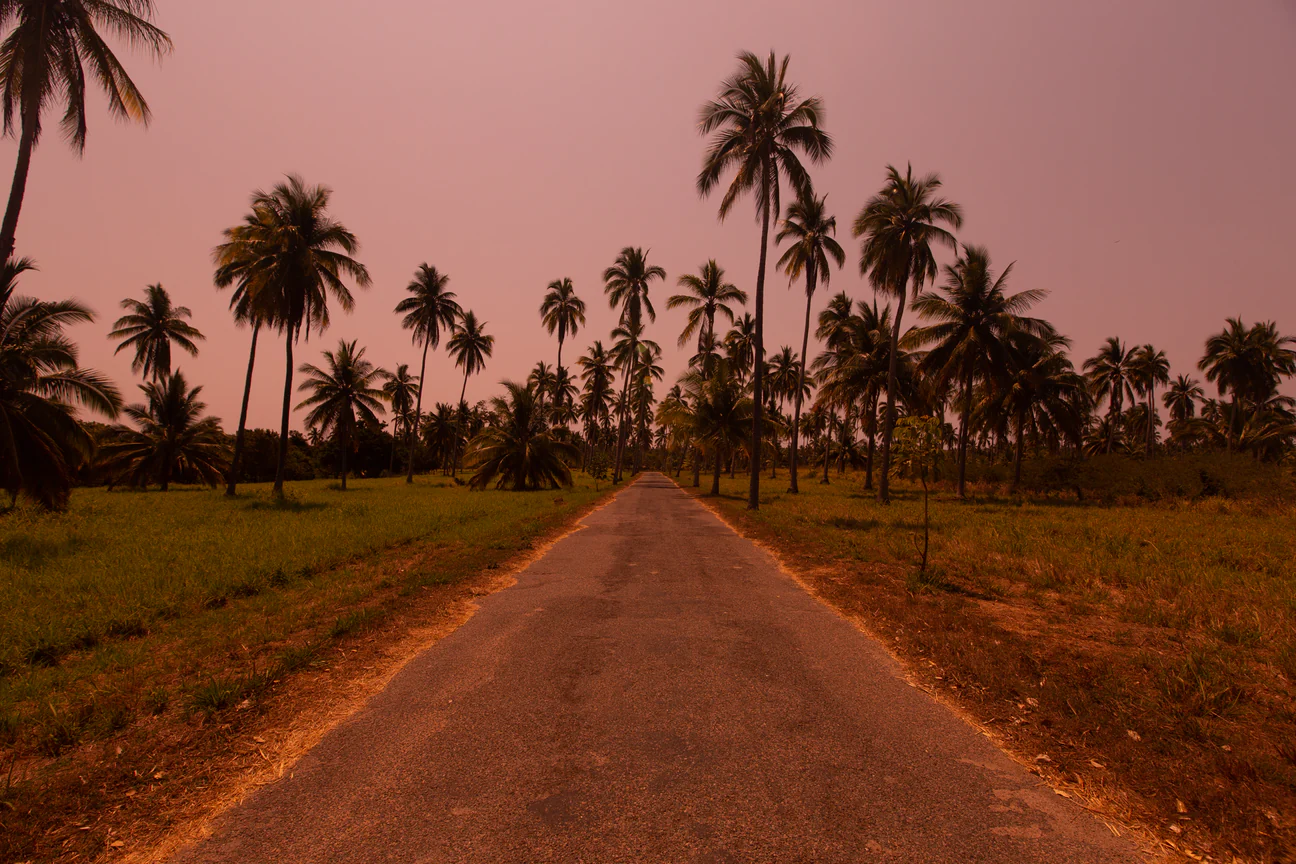 DavisGerber-200429_DHG_7725