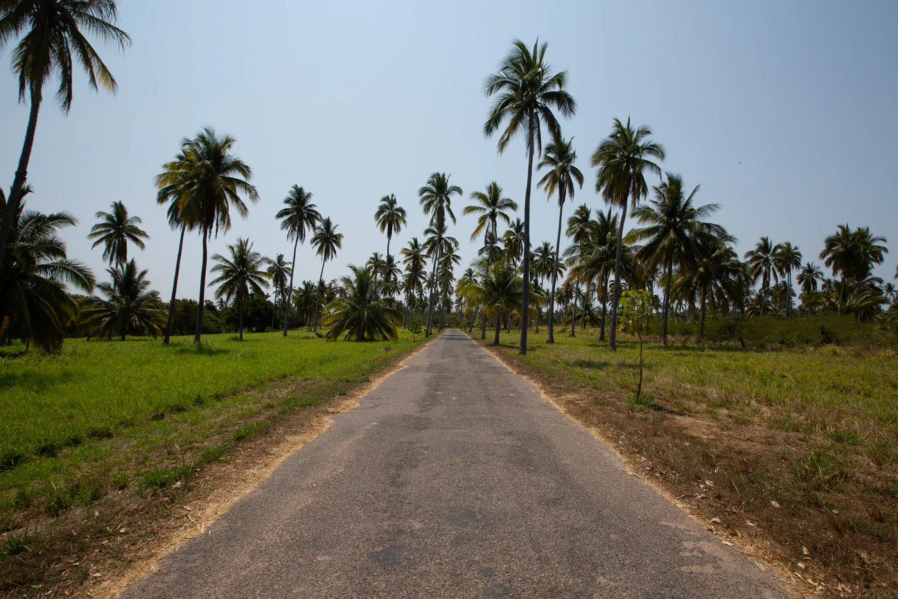 DavisGerber-200429_DHG_7726