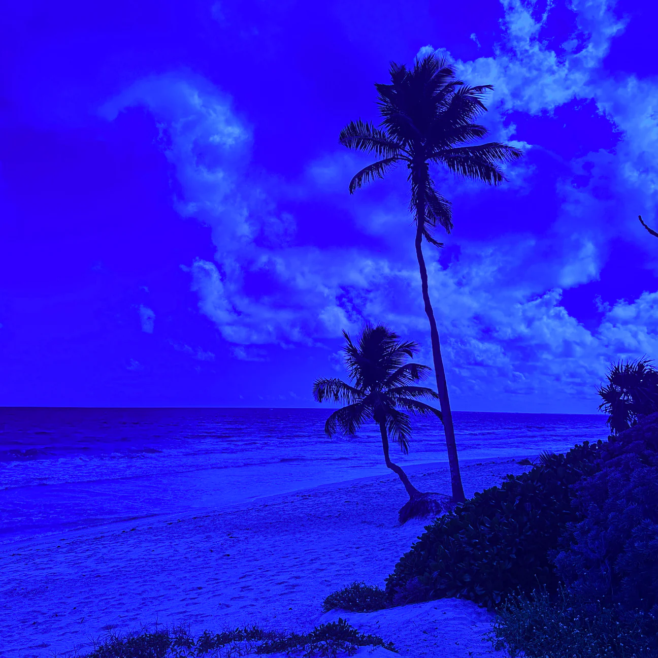 Electricblue_lvb1