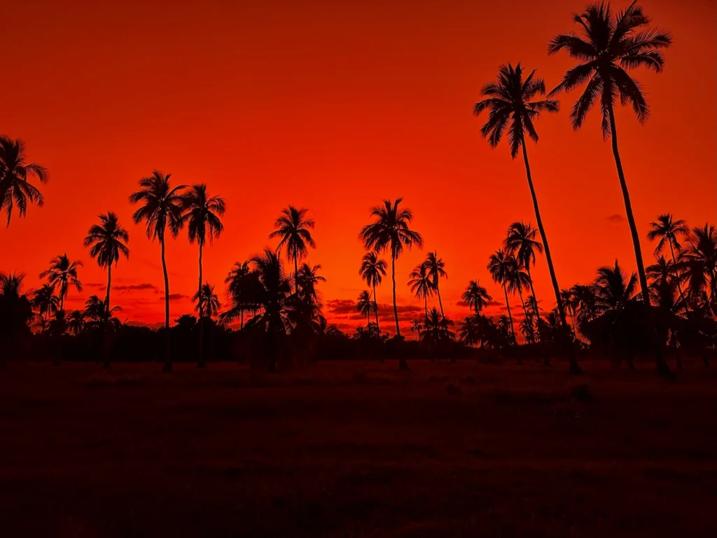 Exploring the Fundamentals of Color Therapy: A Comprehensive Guide