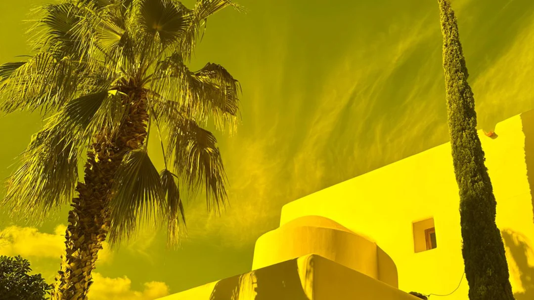 WhatsApp_Image_2025-03-05_at_10.17.16_1080x WhatsApp_Image_2025-03-05_at_10.17.16_1080x