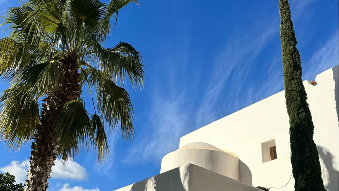 WhatsApp_Image_2025-03-05_at_10.20.03_1080x