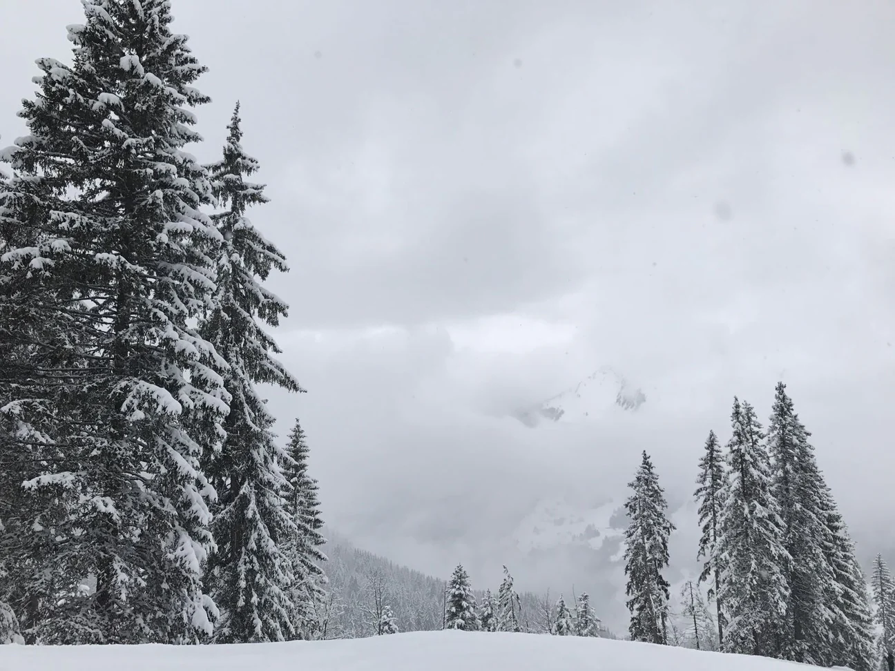 lens-comparison-deep-orange-no-color